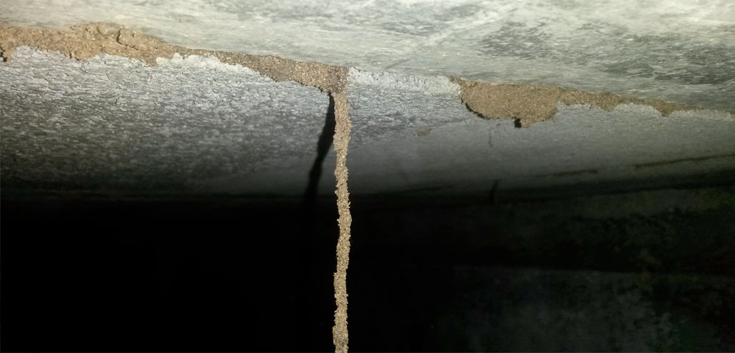 Pueden las termitas perforar concreto