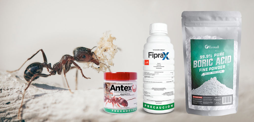 veneno para hormigas