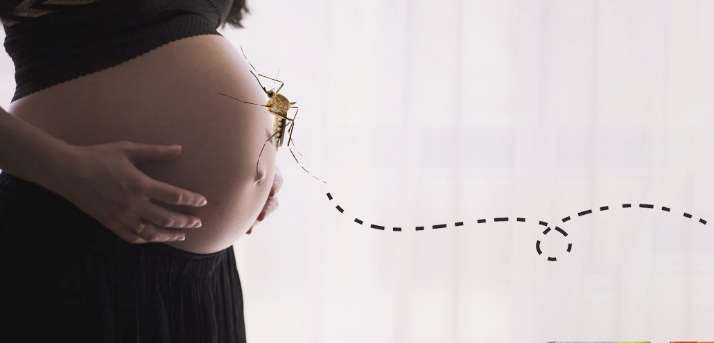 respirar insecticida durante el embarazo