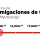 Cuanto cuesta una fumigación contra termitas en Monterrey
